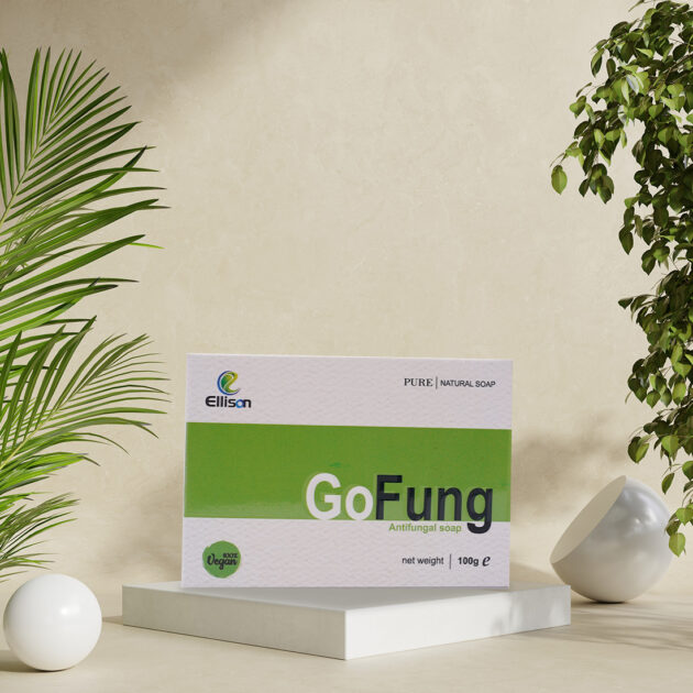Go fung - Image 5